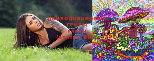 скорость Алексин