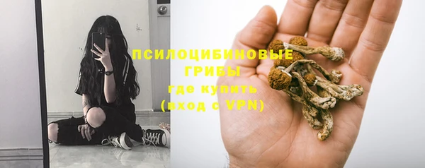 мяу мяу мука Алексеевка