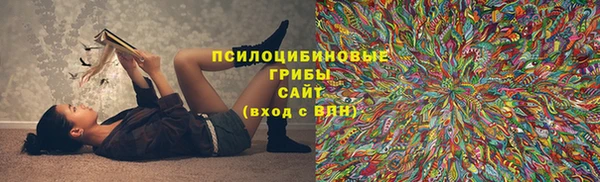 мяу мяу мука Алексеевка