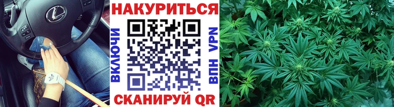 Марихуана план  Александровское 